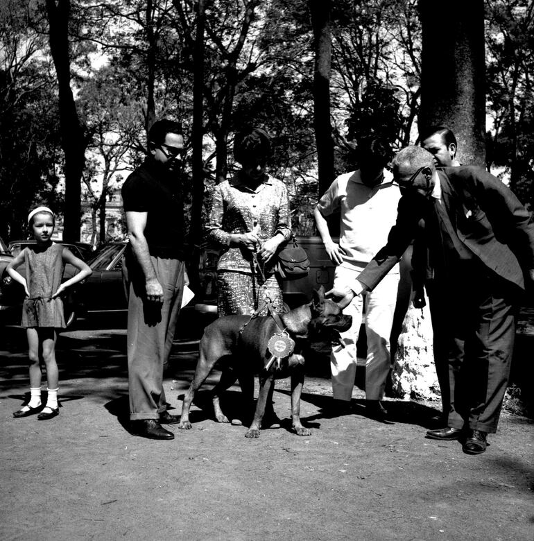 Exposición canina en el Parque Caballero en 1968.