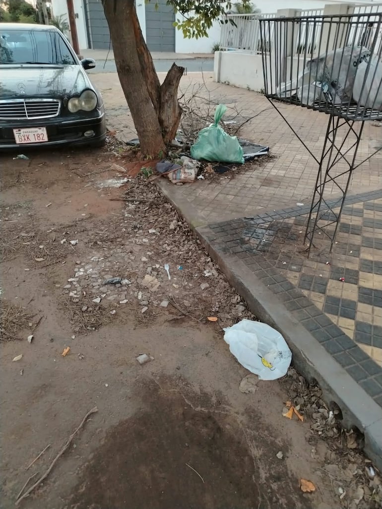 basura en el barrio Los Laureles