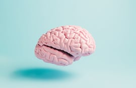 Cerebro, imagen ilustrativa.