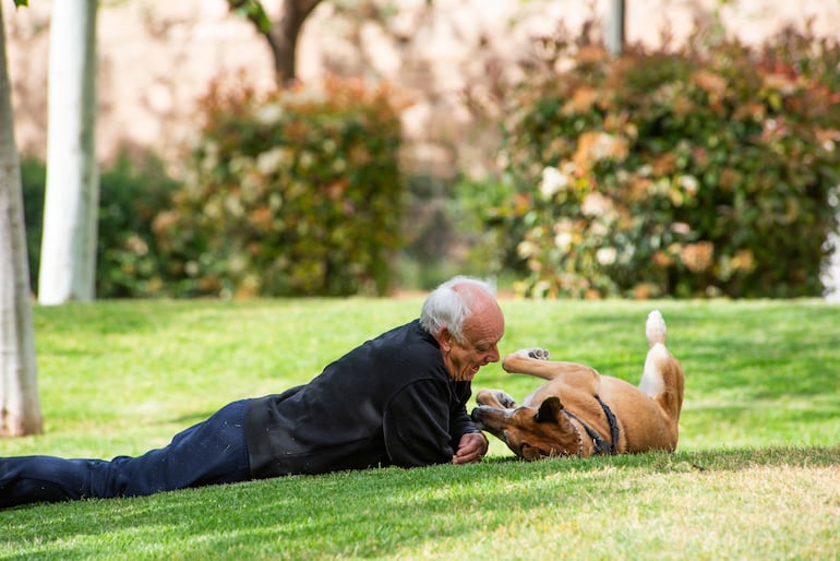 Amor por la mascota.
