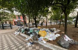 Acumulación de basura en el vertedero de Plaza Italia, rodeado de árboles y edificios en el fondo.