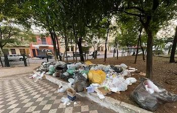 Acumulación de basura en el vertedero de Plaza Italia, rodeado de árboles y edificios en el fondo.