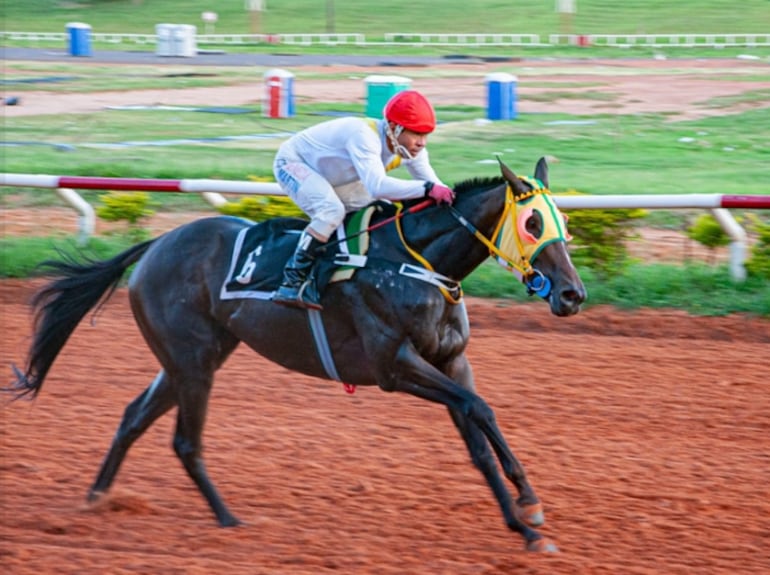 Niágara Nostra del stud Kika, aquí conducida por Arnaldo Portillo, una de las mejores del año, tuvo 7 laureles y celebró entre S.P.C. 