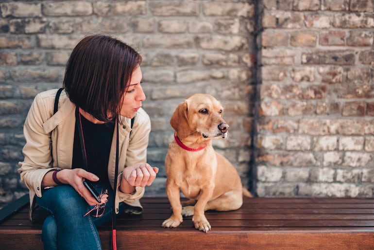 Mujer habla a su perro.