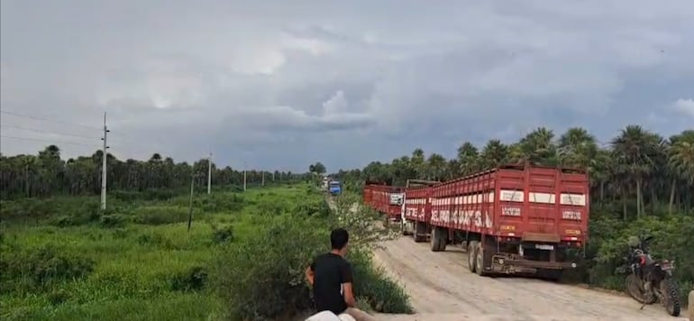 Largas filas de camiones de gran porte esperando pasar una de las zonas críticas del camino que conduce a la ruta bioceánica.