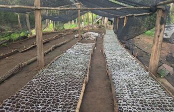 operación Maraney, Sargento José Félix López