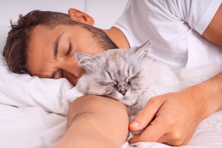 Vínculo humano-gato.