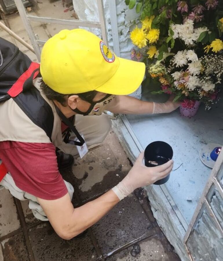 Las ovitrampas sirven para identificar si hay aedes aegypti en la casa.