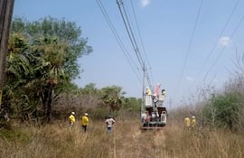 En Alto Paraguay se aguarda la habilitación de rubros para realizar el mantenimiento de la línea de la ANDE que ayude a mejorar el servicio.
