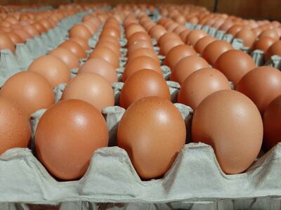 Mister Huevo produce y ofrece una línea de huevos seleccionados. La firma logró imponerse en la preferencia del mercado.