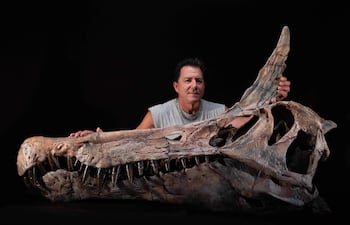 El paleontólogo estadounidense Paul Sereno posa en el Laboratorio de Fósiles de la Universidad de Chicago, en Illinois, el 19 de septiembre de 2025, junto al molde del cráneo del primer dinosaurio descrito en la zona fósil de Jenguebi, en Níger: el espinosáurido Spinosaurus mirabilis.