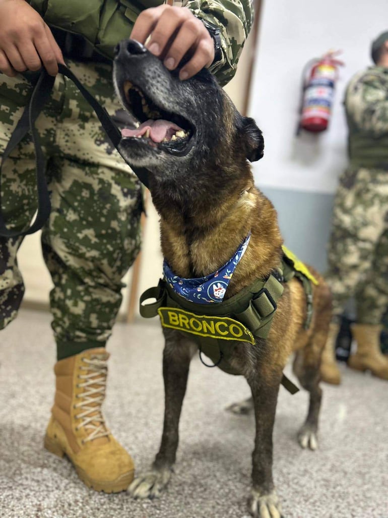 Sgto Gustavo Gómez acaricia al perro Bronco, un canino de servicio, en un ambiente de reconocimiento y aprecio.