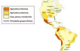 Los primeros grupos humanos en América