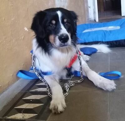 Ulises está perdido.