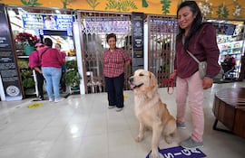 Ximena Tixi y su perro Lucas esperan un ritual de limpieza energética para mascotas en el mercado de San Francisco en Quito el 17 de mayo de 2026.