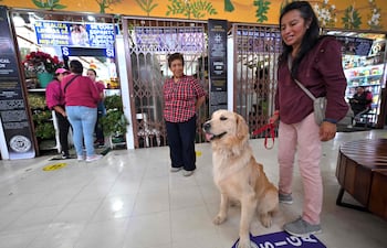 Ximena Tixi y su perro Lucas esperan un ritual de limpieza energética para mascotas en el mercado de San Francisco en Quito el 17 de mayo de 2026.