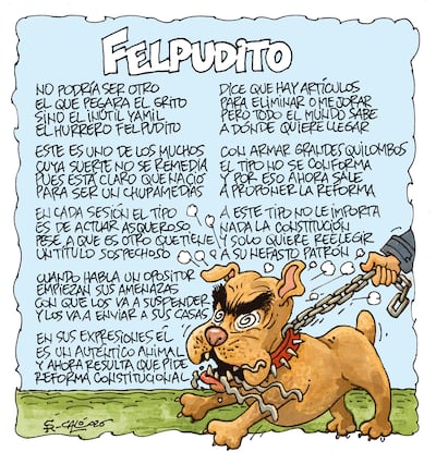 FELPUDITO