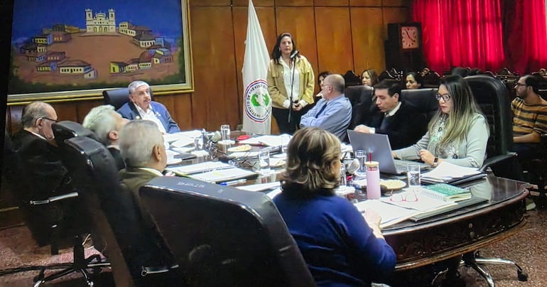 Mujer de pie presenta en reunión, rodeada de asistentes sentados en mesa con documentos y botellas de agua.