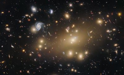 El enorme cúmulo de galaxias deformado por el espacio-tiempo que se muestra en esta imagen del telescopio espacial Hubble de la NASA es Abell 209, situado a 2.800 millones de años luz de distancia en la constelación de Cetus, la Ballena. Las galaxias de Abell 209 están separadas por millones de años luz, y el espacio aparentemente vacío entre las galaxias está lleno de gas caliente y difuso que solo es visible en longitudes de onda de rayos X. Un ocupante aún más escurridizo de este cúmulo de galaxias es la materia oscura. La inmensa masa de un cúmulo de galaxias puede doblar el tejido del espacio-tiempo y crear imágenes deformes y ampliadas de las galaxias y estrellas en el fondo, en un proceso llamado lente gravitatoria. Aunque esta imagen carece de los dramáticos anillos que a veces puede crear la lente gravitatoria, Abell 209 todavía muestra señales sutiles de esta lente en acción, visibles en la forma de las galaxias como rayas y ligeramente curvadas que están dentro del resplandor dorado del cúmulo. Al medir la distorsión de estas galaxias, los astrónomos pueden cartografiar la distribución de masa dentro del cúmulo, que ilumina la nube subyacente de materia oscura.