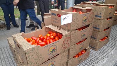 Tomate nacional a G. 9 mil el kilo.
