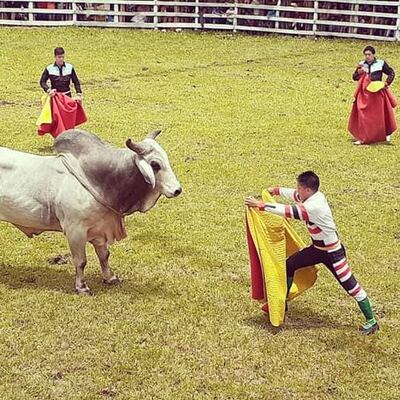 Declaran de interés cultural distrital la corrida de toros.
