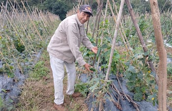 Hombre con chaqueta clara sostiene pimientos en un campo agrícola, rodeado de plantas cultivadas, con expresión seria.