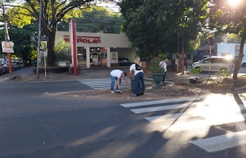 Municipalidad de Asunción