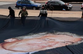 Un cartel gigante que muestra a Jeffrey Epstein y al presidente estadounidense Donald Trump es desplegado cerca del Capitolio de Washington, ayer lunes.