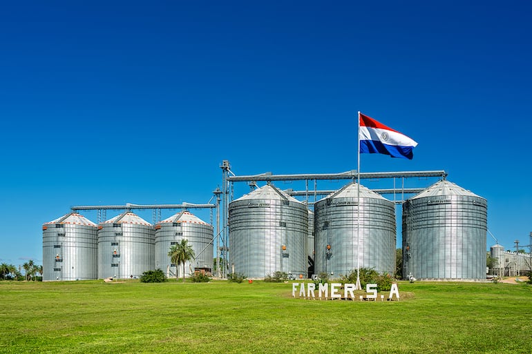 Farmer: La empresa que convirtió a la diversificación en su mejor aliado