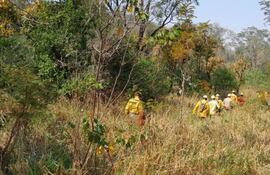 En el Parque Nacional Cerro Corá, siguen los trabajos para contener el fuego rastrero, mediante la apertura de brechas y sistemas de cortafuego. Foto: Ministerio del Ambiente.