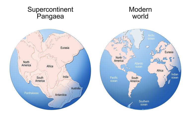 Comparación entre el supercontinente Pangea y los continentes como los conocemos hoy.