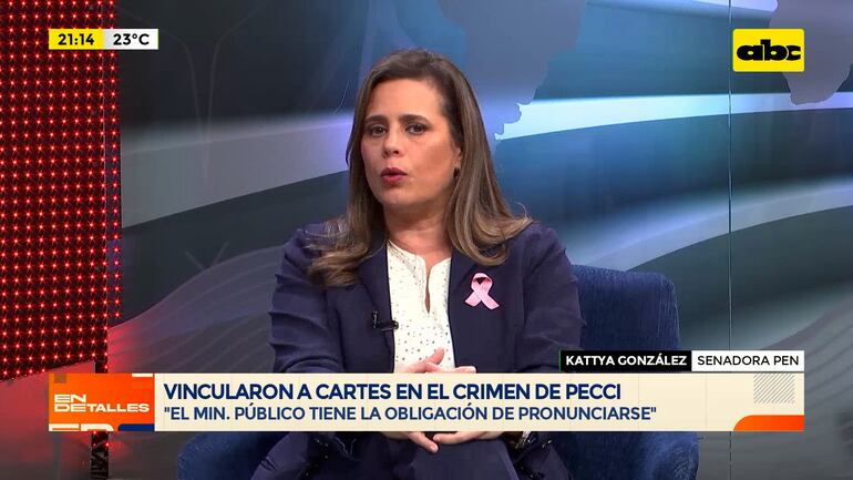 Video: vincularon a Horacio Cartes en el crimen de Pecci - En Detalles ...