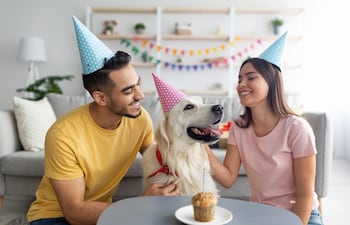 Perro con sus humanos.