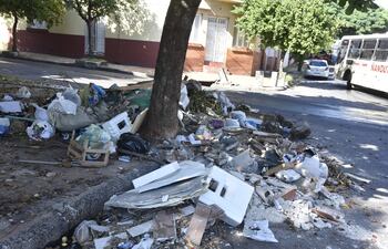 Pese a la poca circulación de personas en Asunción este Miércoles Santos, la capital amaneció sucia. En la imagen, un vertedero sobre Herminio Gimenez y 22 de Setiembre, en el barrio Ciudad Nueva.