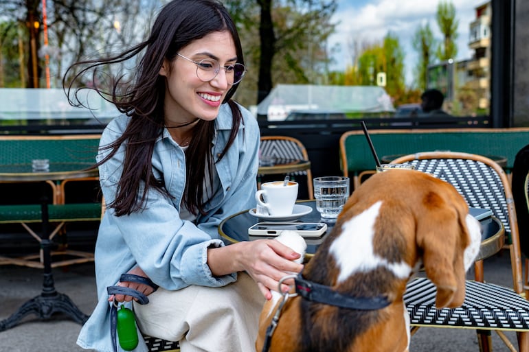 Concepto de "perrhijo".