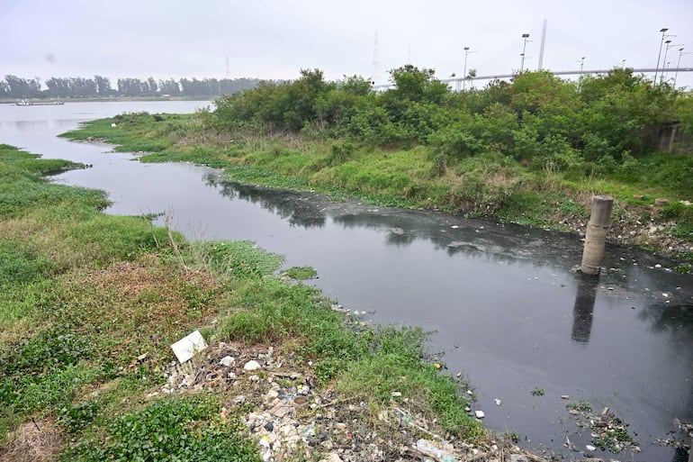 Paisaje natural con agua y vegetación densa, pero también con residuos visibles en la orilla y cerca de un puente al fondo.