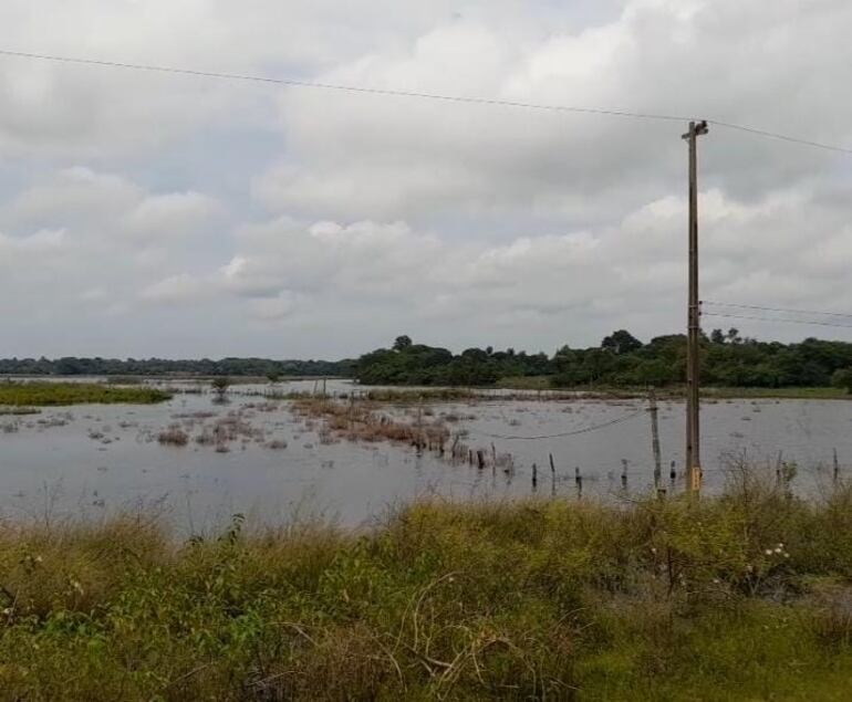 Numerosos campos ganaderos se encuentran bajo agua.