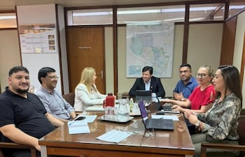 Funcionarios de ANDE e IPS revisarán los saldos adeudados.