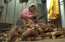 Mercado 4 y San Lorenzo, trabajadoras, frío
