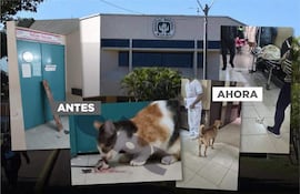 Cuatro personas en un hospital con un gato y un perro, escudo del Hospital Nacional en la esquina superior izquierda.