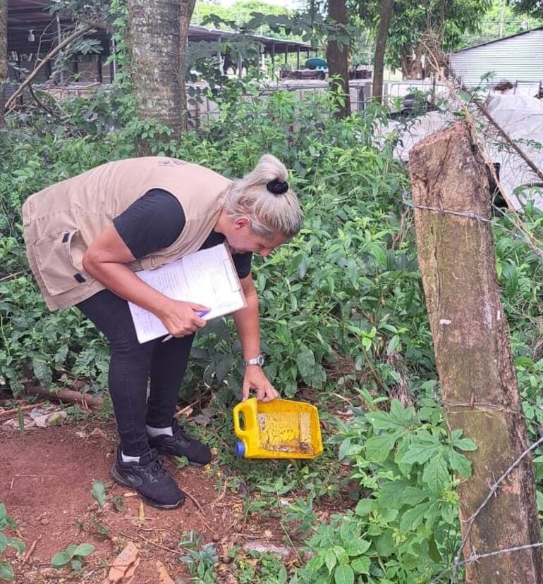 Funcionarios de Senepa realizan los rastrillajes y bloqueos respectivos en zonas donde se dio positivo a dengue.