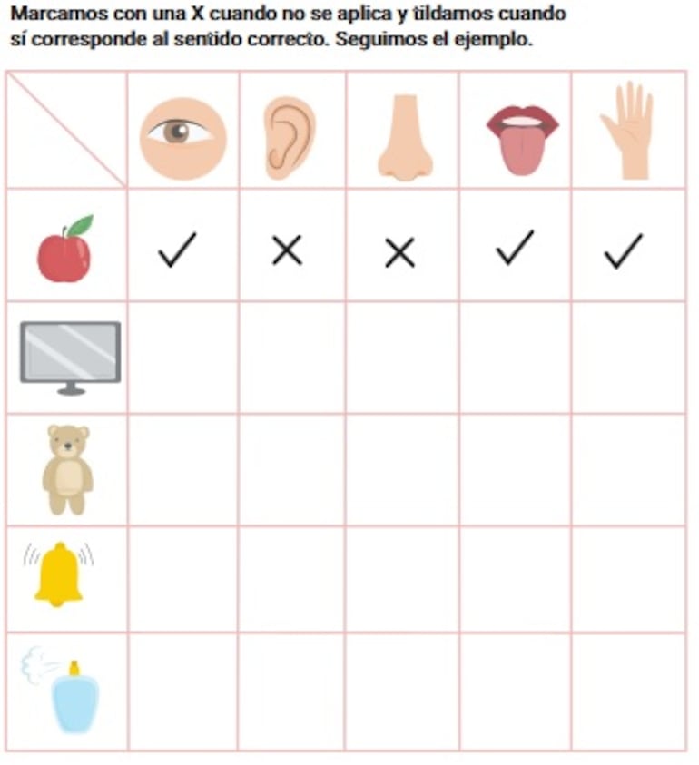 Funciones de los órganos sensoriales.