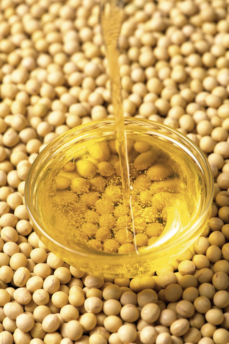 De la soja en grano a la industrialización: uso del 83% de la capacidad instalada