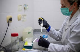 La técnica de laboratorio Luciana Plum utiliza una micropipeta dentro de una sala de reacción en cadena de la polimerasa (PCR) en el Laboratorio de Genética de Poblaciones y Evolución del Instituto de Diversidad y Ecología Animal (IDEA-CONICET-UNC) de la Facultad de Ciencias Exactas, Físicas y Naturales (FCEFyN) en Córdoba, Argentina