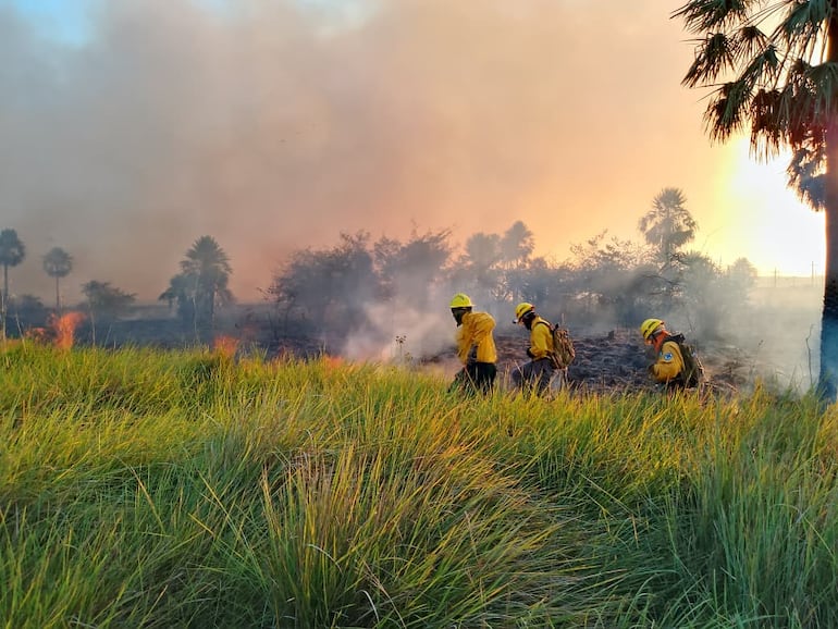 Unos 15 bomberos del cuartel de Carapeguá están luchando contra el siniestro.