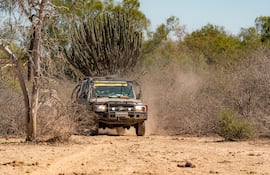 Esta camioneta, al mando de Édgar Molas, encabeza la caravana del TACPy que transita buscando los mejores caminos posibles para el TCR51.