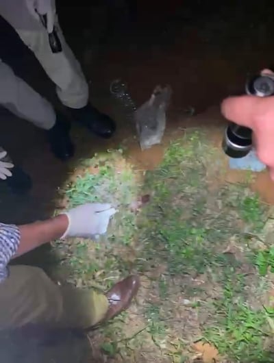 El médico forense y los agentes del Ministerio Público observan el lugar donde fue hallado el feto.