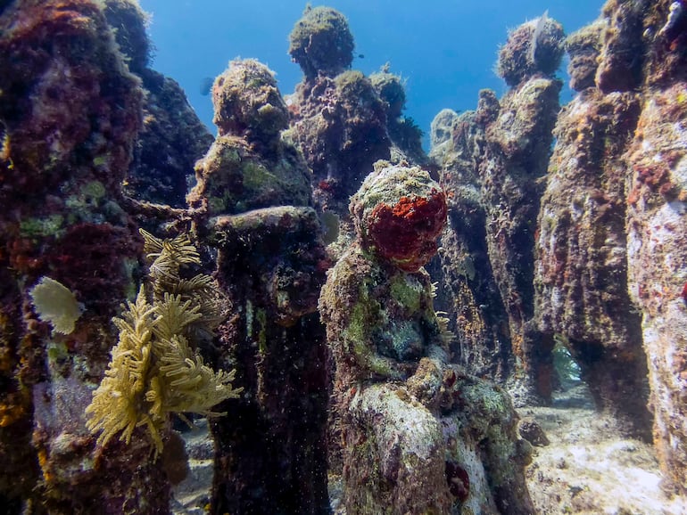 Isla Mujeres, Quintana Roo / Mexico. MUSA (Museo Subacuático de Arte).