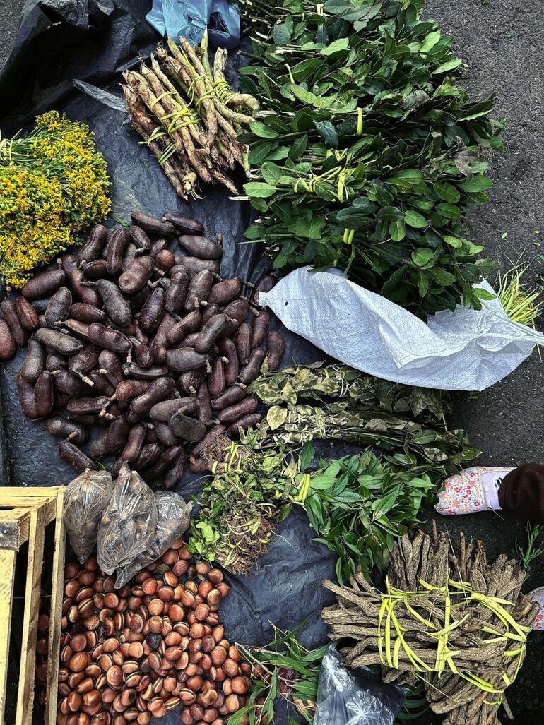 La lista de la Unesco habla de “Prácticas y saberes tradicionales del tereré en la cultura del pohã ñana, bebida ancestral guaraní en Paraguay”.