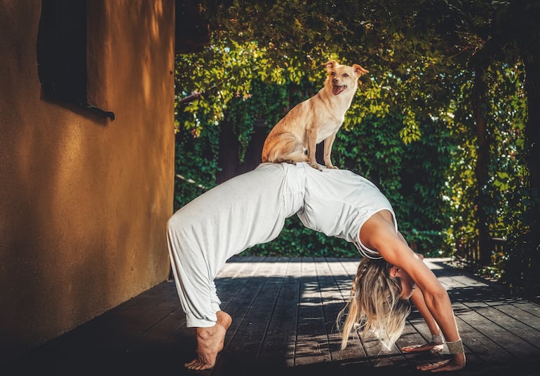 Yoga con perros.
